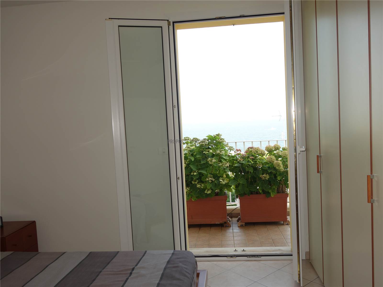 VISTA CAMERA