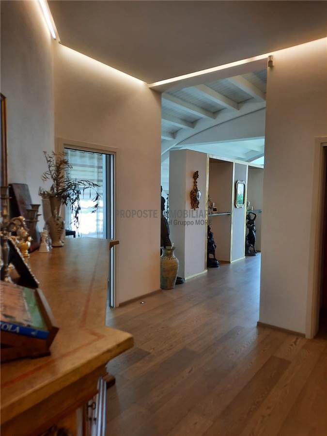 Ingresso