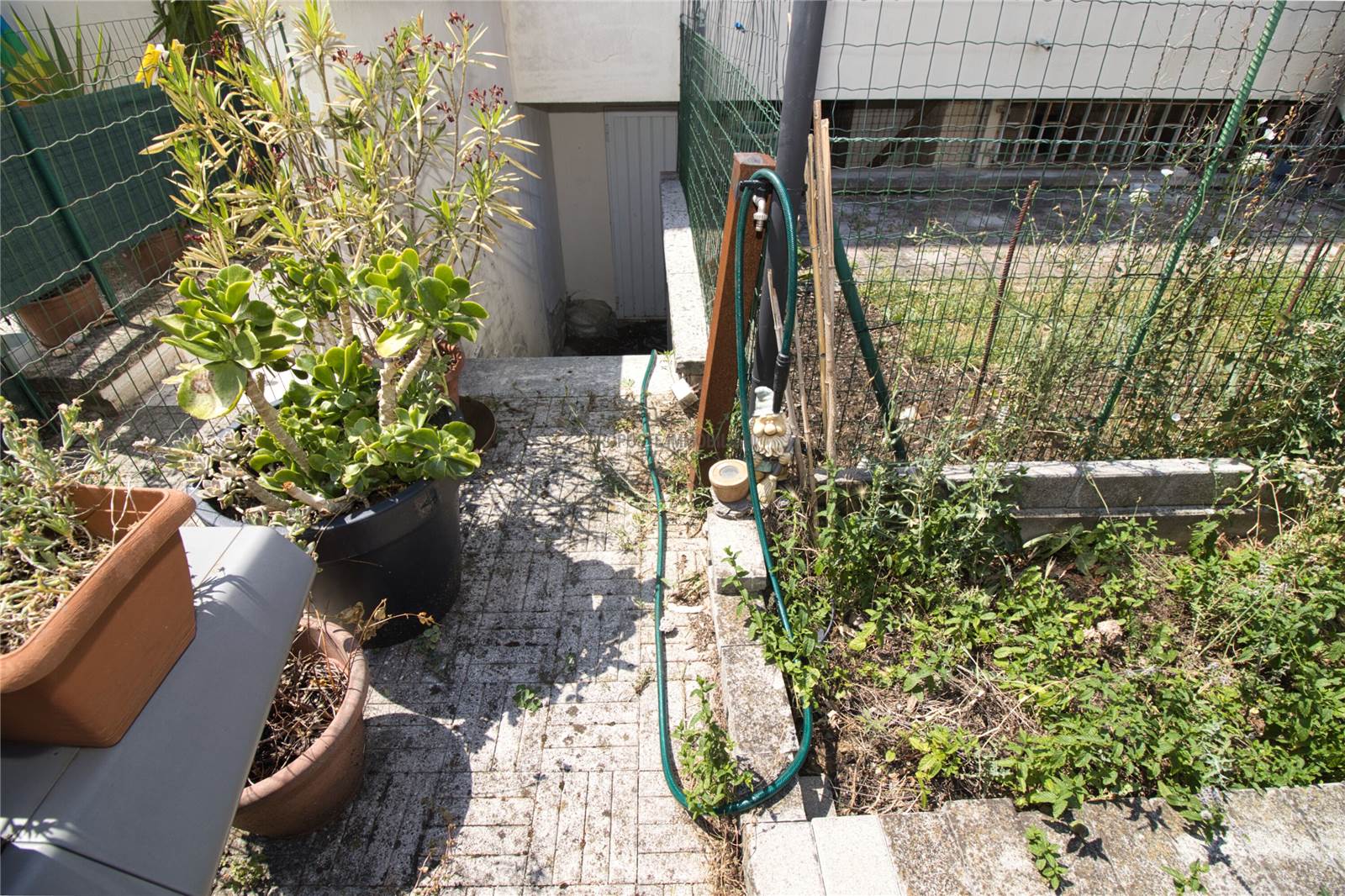 giardino